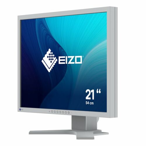 Eizo FlexScan S2133 21.3 inch IPS LED Monitor, angled view