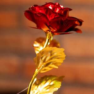 Ha5158 wieczna róża