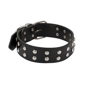 Schwarzes Lederhundekragen mit Nieten - Viehzucht