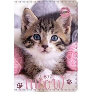 Személyi iratok / diákigazolványtartó 10 betéttel - cicás