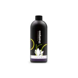 Szampon do samochodów Nanolex Professional, butelka 1 litrowa - Nanolex