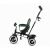 Kinderkraft Aston Green Tricycle with Adjustable Seat and Handle