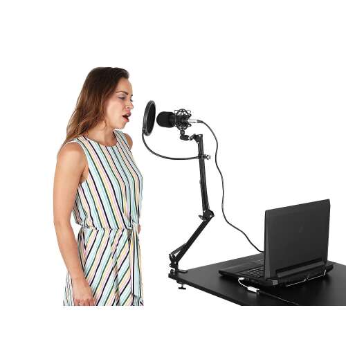 Microfon cu USB conectare PC cu stand inclus pentru Inregistrare Vocala, Streaming, Gaming, Karaoke