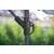 Umbrelă de grădină cu înclinare premium Funfit cu cadru din oțel și manivelă 3,5m #darkblue 58854428}
