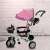 Pepita Little One trike with pink canopy, parent handle, basket and bell