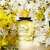 Dolce & Gabbana Dolce Shine Eau de Parfum, 75 ml teszter, sárga virágos illat nőknek, fehér virágok között