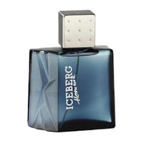 Iceberg Homme Eau de Toilette Spray férfiaknak, 100ml - Iceberg