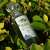 Eau de Sisley 1 Eau de Toilette 100ml zöld háttérrel