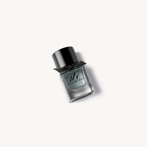 Burberry Mr. 50ml Eau de Parfum férfiaknak - Burberry