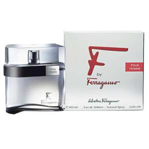 Parfum Bărbați Salvatore Ferragamo EDT F By Ferragamo Pour Homme 100 ml 83153421 - Parfum pentru bărbați