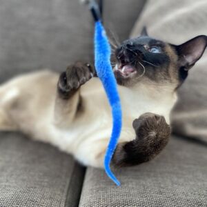 DUVO+ Macska Játékpálca - Plüss Kígyó - 45,5cm