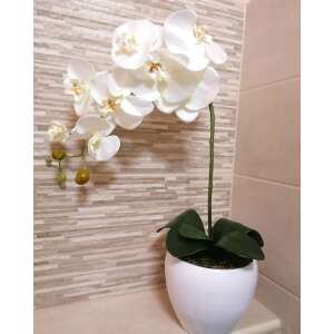 Orchidea Művirág 1 szálas kaspóban #fehér