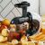 Adler AD 4130 Slow Juicer with fruits and vegetables