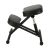 Timeless Tools Kneeling Chair, Black 131703844