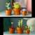 LEGO® ICONS Small potted plants 10329 106809753