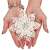 Springos white glitter poinsettia Christmas decoration held in hands