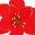 Rote Glitzer-Weihnachtsblume Dekoration, Springos