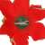 Rote Glitzer-Weihnachtsblume Dekoration mit Clip, Springos