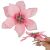 Springos pink magnolia flower with clip attachment in hand