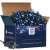Springos 500 LED blue fairy lights, 31.5m long, in box