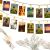 Springos LED photo clip string lights displaying photos