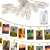Springos 10 LED Photo Clip String Lights, warm white, battery operated, hanging pictures, home decor