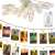 Springos 10 LED Photo Clip String Lights, warm white, battery operated, hanging pictures, home decor