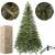 Springos 2,2 m natürlicher Lucfenyo künstlicher Weihnachtsbaum mit Verpackung, Ständer und Zweigdetails