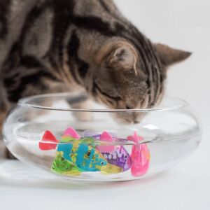 Cat watching Elemes mini úszó halacska játék in fishbowl - Bath Toy
