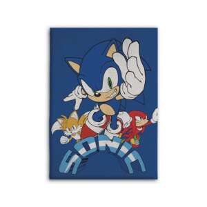 Sonic a sündisznó polár takaró 100x140cm 84596081 Plédek - Unisex