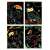 Scratch art set with 4 magic birds, Avenir brand