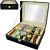 XMAX Watch Box for 10 Watches 00001369 33108493