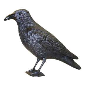 Plastikowa wrona gołębi