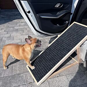 Dog ramp for car access, adjustable height, non-slip surface - Bird Care