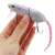 Rat Fishing Lure 51218531