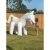 Giant Inflatable Sprinkling Unicorn 51207293