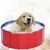 Portable Dog Pool 51358559