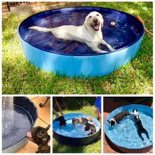 Collage of dog pool, portable dog pool, foldable dog pool, pet pool, dog bath, summer dog pool, outdoor dog pool, dog swimming pool, dog cooling