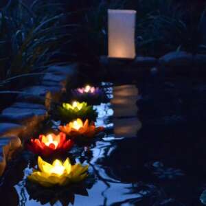 Solar powered lotus flower lights floating in a pond at night - Nonbrand Solar lantern