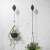 Two hanging plants with plant hoist, easy access to hanging plants, plant lifting tool, 15kg capacity