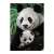 Panda mit Jungtier, 1000 Teile Puzzle