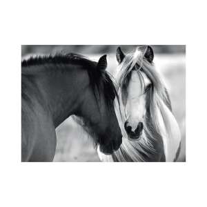 Dino Puzzle 1000 piece jigsaw puzzle, black and white horses - Dino Bikes