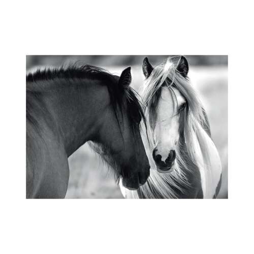 Dino Puzzle 1000 piece jigsaw puzzle, black and white horses