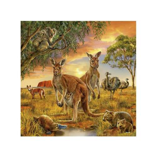 Ravensburger Puzzle 3x49, Australian Animals, 5+ years
