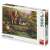Dino Puzzle 500 pieces - House by the Lake, puzzle box with a beautiful landscape image