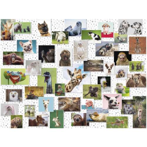 Ravensburger 1500 piece jigsaw puzzle, Funny Animals