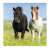 Ravensburger Puzzle 3x49 pieces - Beautiful Horses, two horses running in a field