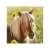 Ravensburger Puzzle 3x49 pieces - Beautiful Horses, close-up image of a horse in a field