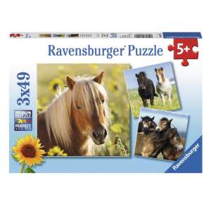 Puzzle 3x49 db - Szépséges lovak 85851200 Puzzle - Ló