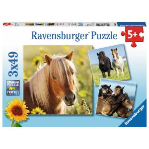 Ravensburger Ló Puzzle 3x49 darabos gyerekeknek, lovas kirakó - Puzzle